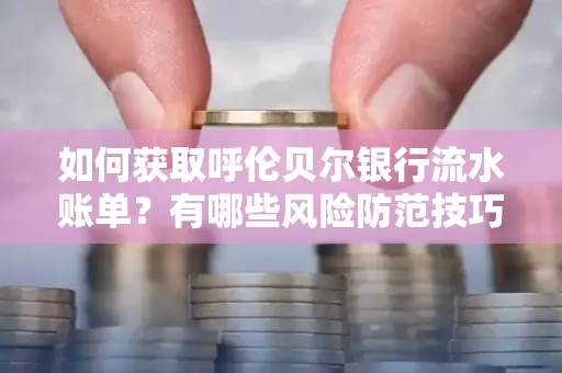 如何获取呼伦贝尔银行流水账单？有哪些风险防范技巧？