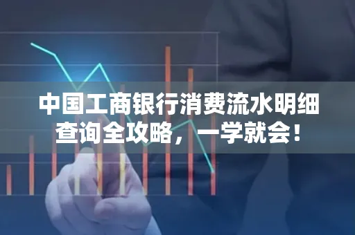 中国工商银行消费流水明细查询全攻略，一学就会！