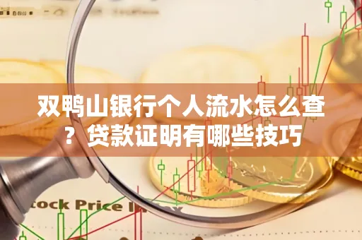 双鸭山银行个人流水怎么查？贷款证明有哪些技巧